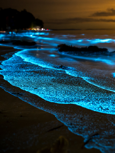 Sea of Stars
