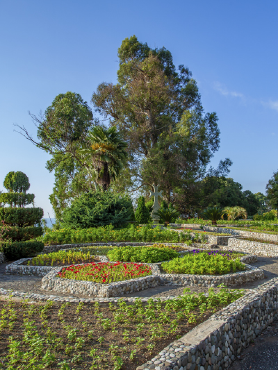 Batumi Botanical Garden